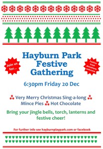 Hayburn Park Festive Gathering 2013